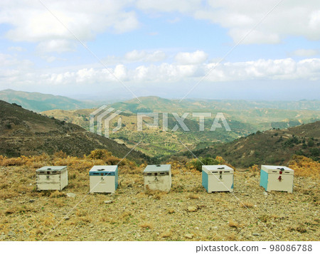 Apiary high in the mountains 98086788