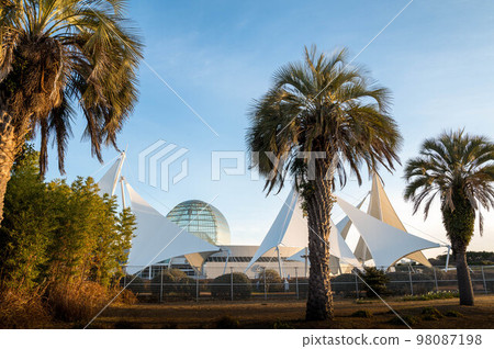 東京都江戶川區 黎明時分的葛西臨海公園風景 98087198