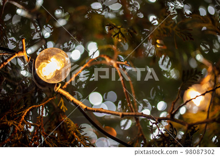 Christmas tree lighting 98087302