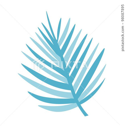 Tropical foliage, exotic palm tree leaf vector 98087895