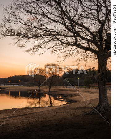 Mito City, Ibaraki Prefecture Sunset view of Lake Senba 98088252