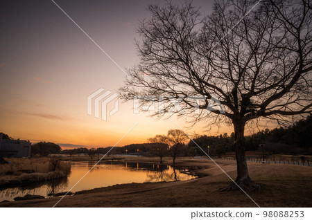 Mito City, Ibaraki Prefecture Sunset view of Lake Senba 98088253