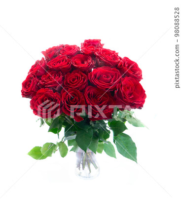 Crimson red rose flowers 98088528