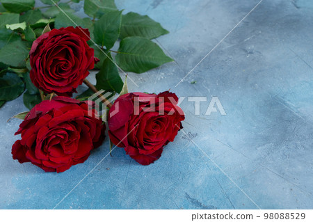 Crimson red rose flowers Crimson red rose flowers 98088529
