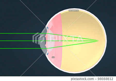 Structure of the Human Eye and anatomy of vision Structure of the Human Eye and anatomy of vision 98088612