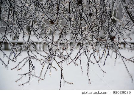 冰的重量下降到接觸地面的程度 冰的重量下降到接觸地面的程度 98089089