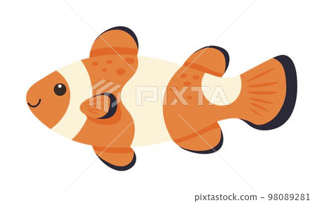 Clown loach fish, aquatic tropical animals vector Clown loach fish, aquatic tropical animals vector 98089281