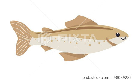 Fish with scale and fins, tropical species vector Fish with scale and fins, tropical species vector 98089285