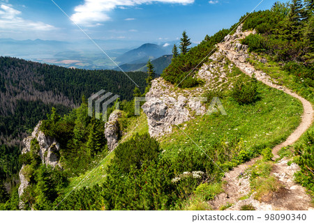 Hiking trail in mountains. Western tatras in Slovakia 98090340