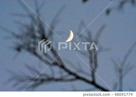 [Sakura City, Chiba Prefecture] The moon at dusk from the promenade of Lake Inbanuma 98091774