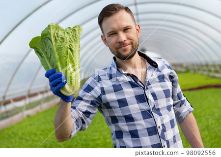 A man working in a greenhouse holds a salad in his hand, smiling, close-up A man working in a greenhouse holds a salad in his hand, smiling, close-up 98092556