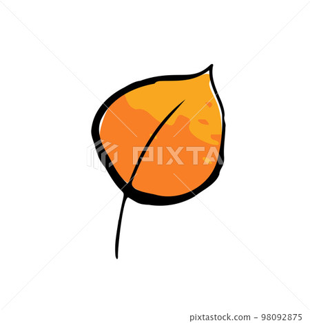Autumn sketch yellow ink leaf. Hand-drawn color herb Autumn sketch yellow ink leaf. Hand-drawn color herb 98092875