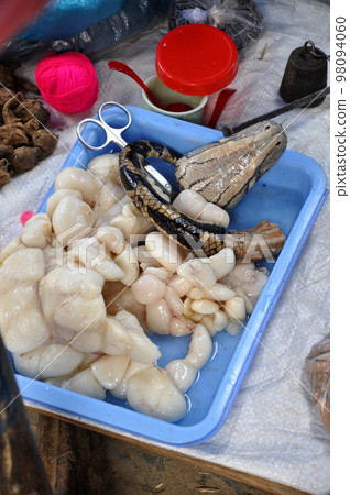 Fresh snake for sell in Bac Ha market, Vietnam 98094060