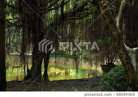 Lake near the Hang Mua pagoda. Ninh Binh, Vietnam 98094369