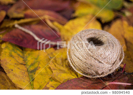 Twisted string on autumn leaves 98094540