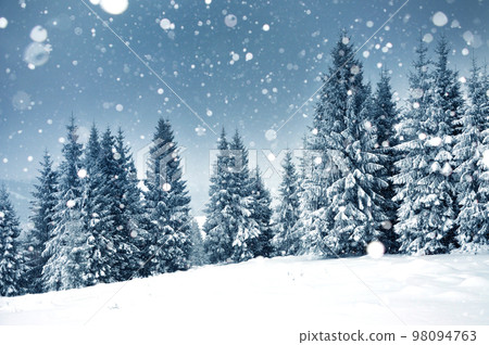 Christmas background with snowy fir trees 98094763