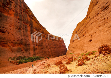 Walpa Valley of Mount Olga (Kata Tjuta) with a magnificent V-shaped valley Walpa Valley of Mount Olga (Kata Tjuta) with a magnificent V-shaped valley 98095022