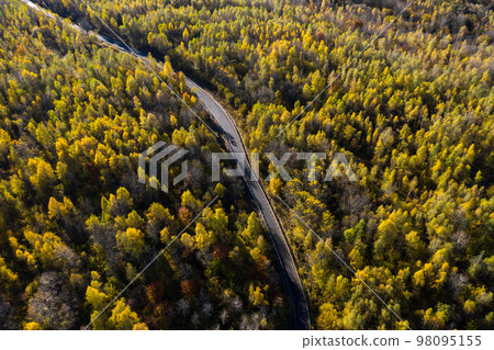Aerial above view of autumn forest winding road 98095155