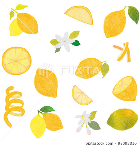 Lemon set hand-drawn with colored pencils Lemon set hand-drawn with colored pencils 98095810