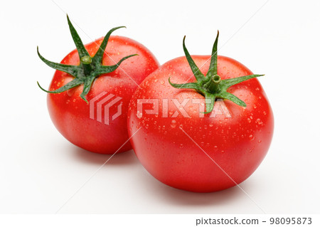 Tomato in white back Tomato in white back 98095873