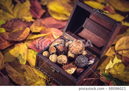 Autumn leaves, treasure box Autumn leaves, treasure box 98096021