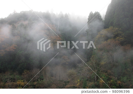 南紀四時 98096396