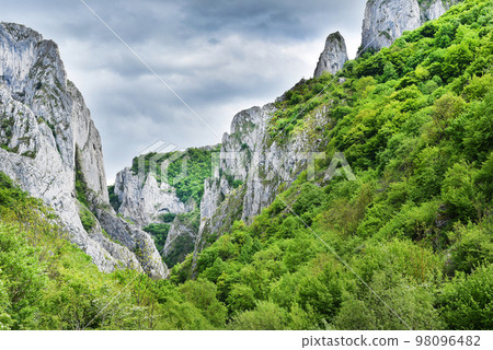 Monumental limestone gorge. Cheile Turzii, Romania Monumental limestone gorge. Cheile Turzii, Romania 98096482