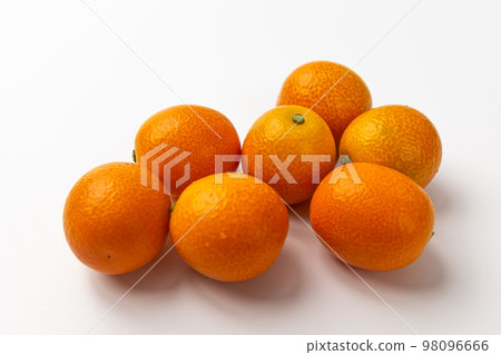 Kumquat Kumquat 98096666