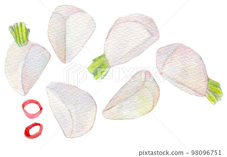 水彩插圖蘿蔔泡菜泡菜 98096751
