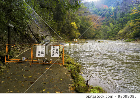 千葉縣養老溪谷/養老川“Awamata Falls Nature Trail”/日本養老川 98099083