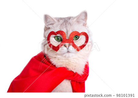 Portrait of a cute white cat in a red mask in the form of hearts and a red cape. 98101391