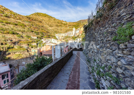 Pathway in touristic town, Manarola, Italy. Cinque Terre Pathway in touristic town, Manarola, Italy. Cinque Terre 98101580