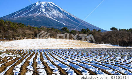 Fujigane countryside and Mt.Fuji/snow scene Fujigane countryside and Mt.Fuji/snow scene 98101814