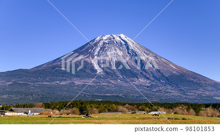 朝霧高原和富士山,冬天的風景 朝霧高原和富士山,冬天的風景 98101853