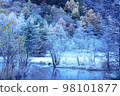 Hoarfrost in Kamikochi 98101877