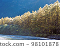 Kamikochi Japanese larch foliage 98101878