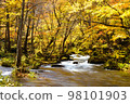 Autumn Oirase mountain stream 98101903
