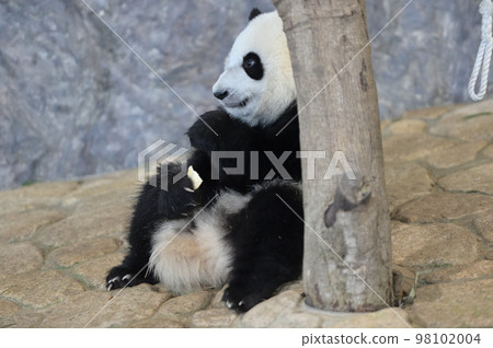 Momohama looks happy to receive a snack 98102004