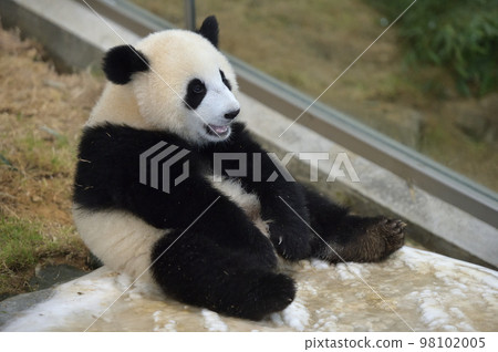 Sakurahama showing affection to the gallery Sakurahama showing affection to the gallery 98102005