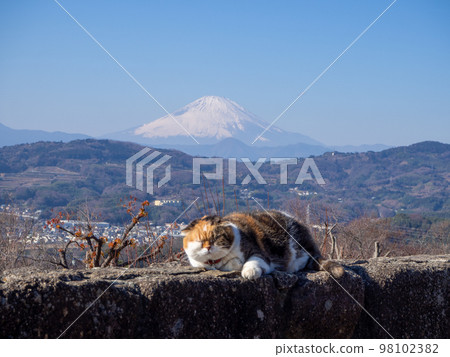 吾妻山公園和富士山的人氣 吾妻山公園和富士山的人氣 98102382