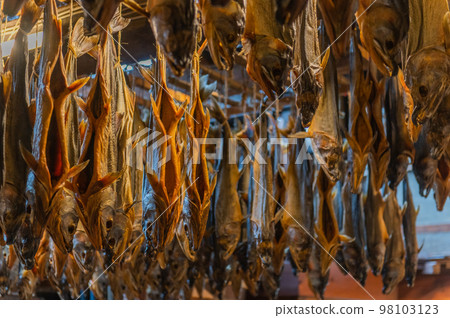 Salmon Town Murakami Salmon Town Murakami 98103123