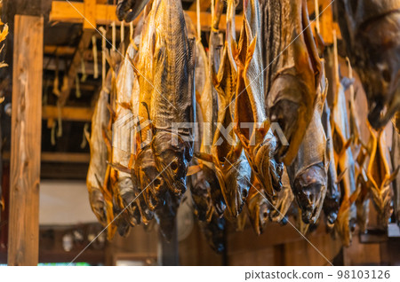 Salmon Town Murakami 98103126