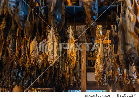 Salmon Town Murakami 98103127