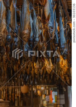 Salmon Town Murakami 98103136