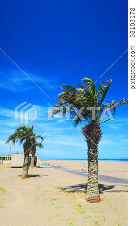 盛夏的本須賀海灘風光（千葉縣山武市本須賀） 98103178