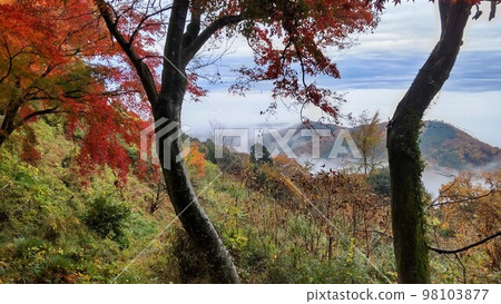 Sea of clouds at Mt. Taihei, Tochigi Prefecture 98103877
