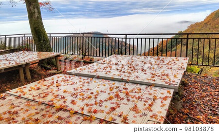 栃木縣太平山 98103878