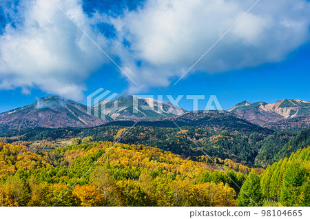 Mt. Norikura seen from the Norikura Plateau and the yellow leaves of the birch Mt. Norikura seen from the Norikura Plateau and the yellow leaves of the birch 98104665