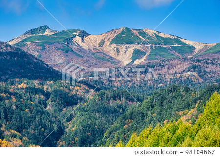 Mt. Norikura seen from the Norikura Plateau and the yellow leaves of the birch Mt. Norikura seen from the Norikura Plateau and the yellow leaves of the birch 98104667