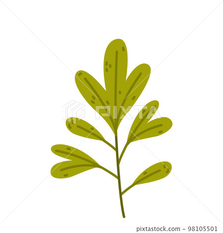 Floral Twig with Green Leaves as Cute Foliage Vector Illustration 98105501
